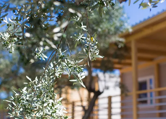 Mobile Homes And St,denis 3* Punat